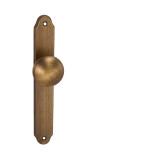 Dveřní koule MP Alt Wien na štítku (OGS - Bronz česaný matný) - MP OGS (bronz česaný mat)