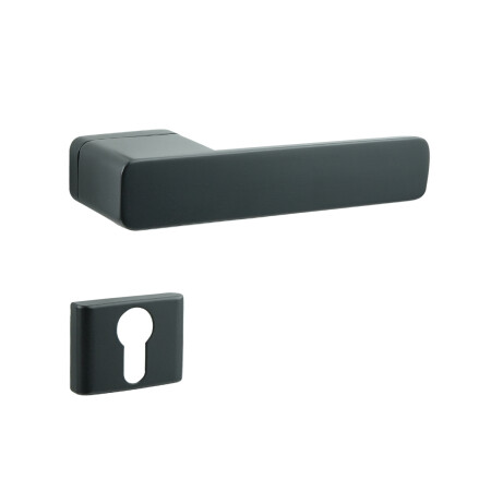 Dveřní kování COBRA STRIGA-S (černá)