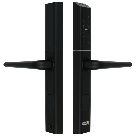 Digitální klika Richter DH.S3B-C.CE (černá)